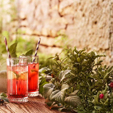 Sirop Cassis VEDRENNE 25cl - 1