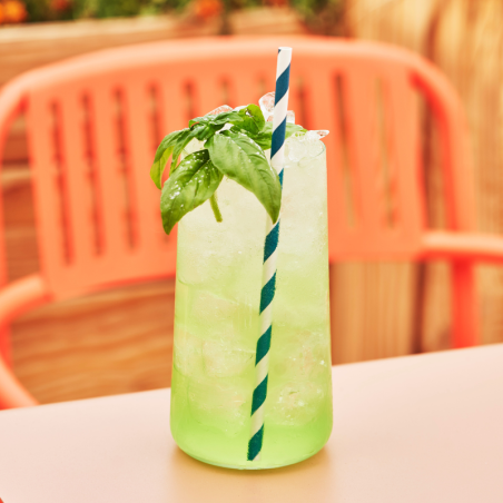 Sirop Basilic VEDRENNE 100cl Vedrenne - 2