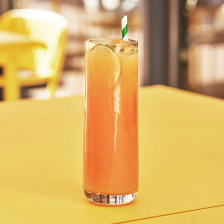 Sirop Pastèque VEDRENNE 100cl Vedrenne - 3