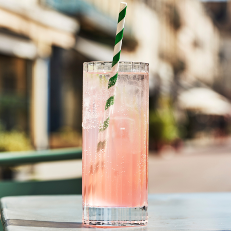 Liqueur de Pastèque VEDRENNE 18% - 70cl