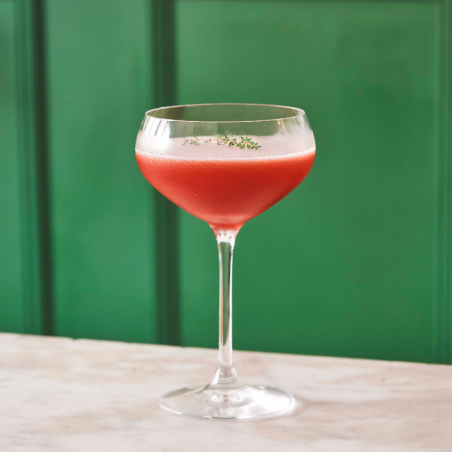 Liqueur de Gentiane SALERS 25% - 100cl