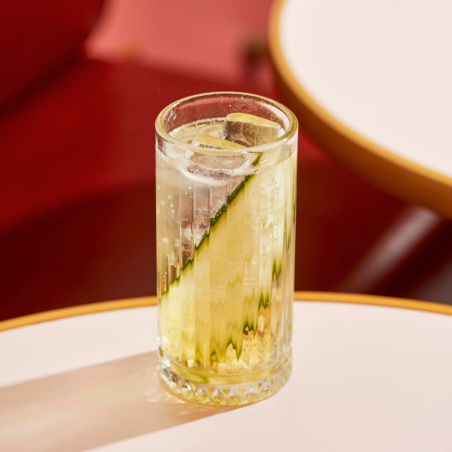 Apéritif Sans Alcool Ziane SALERS - 100cl