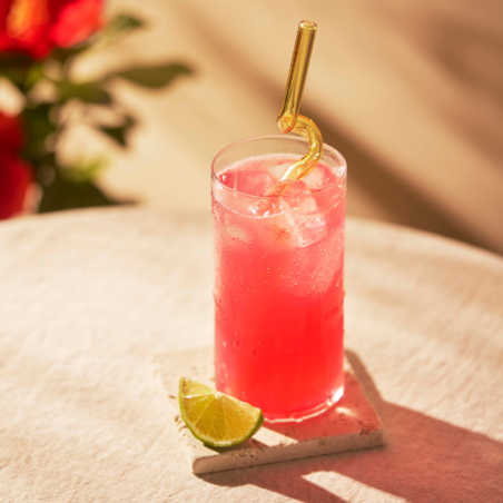 Sirop Saveur Hibiscus VEDRENNE 100cl - 3