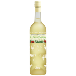 Plant Liquors-Distillerie Massenez - Liqueur de Fleur de Sureau