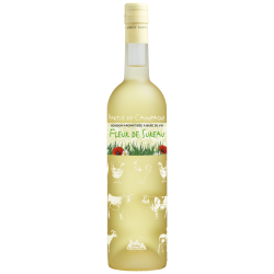 Partie de Campagne - BABV Fleur de Sureau DISTILLERIE DES TERRES ROUGES 12% - 75cl